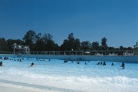portcerises_pisci.jpg