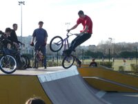 portcerises_skate6.jpg