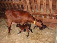 stquentin_ferme.jpg